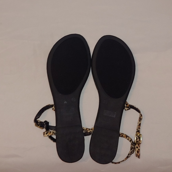 BAMBOO - Picture 2 of 2